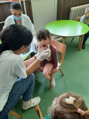 IMG-2aafe1e7dfc6d53ef0f9c7d968ca5d34-V